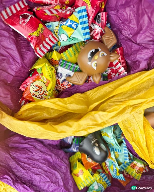 海洋公園哈囉喂 ｜ 小朋友放電打卡一站式體驗🎃