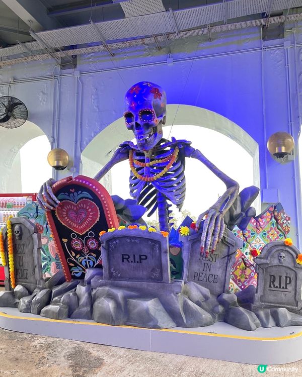 🇭🇰海洋公園哈囉喂全園祭2025👻