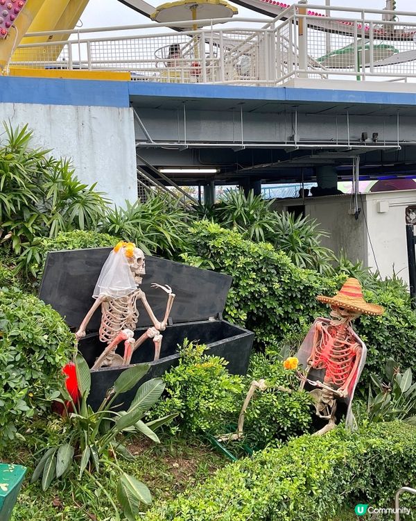 🇭🇰海洋公園哈囉喂全園祭2025👻