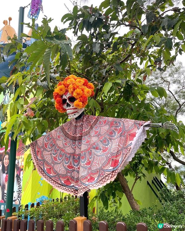 🇭🇰海洋公園哈囉喂全園祭2025👻