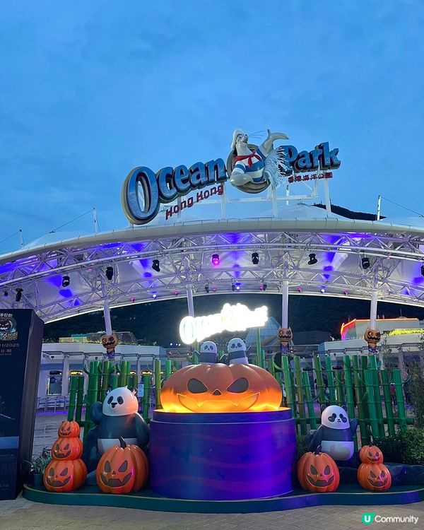 🇭🇰海洋公園哈囉喂全園祭2025👻