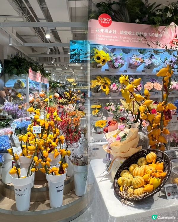 深圳掃貨攻略！🛍️ 中航城君尚，交通超方便！