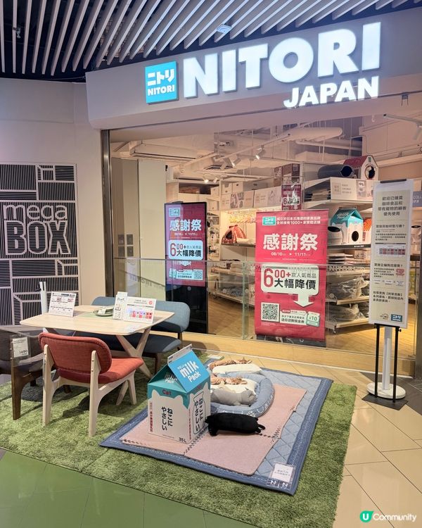 北海道機票等你拎！✈️ 感謝祭掃貨攻略！🛍️