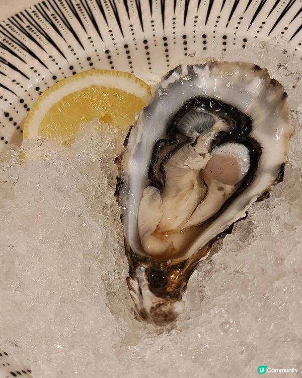 黃宗澤開嘅🦪生蠔餐廳