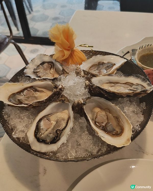 黃宗澤開嘅🦪生蠔餐廳