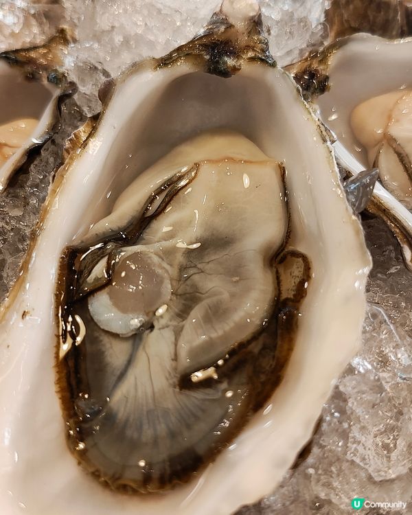 黃宗澤開嘅🦪生蠔餐廳