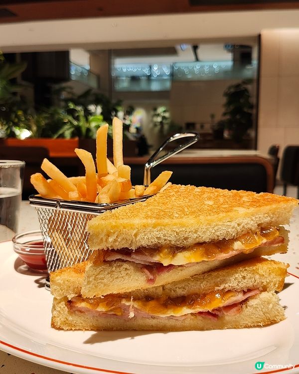 🐘Elephant Grounds🧡