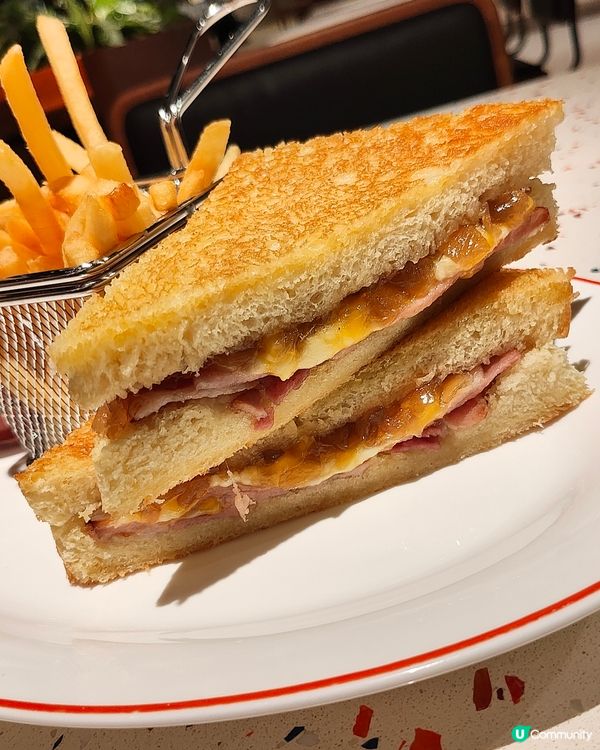 🐘Elephant Grounds🧡