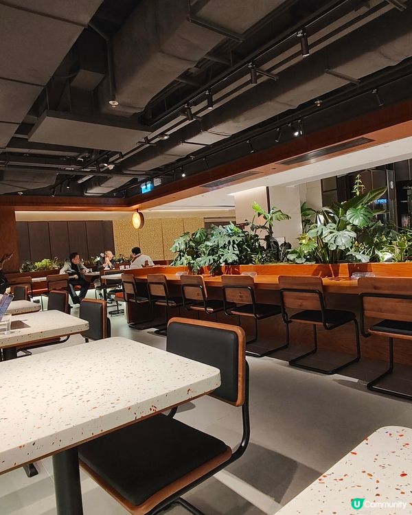 🐘Elephant Grounds🧡