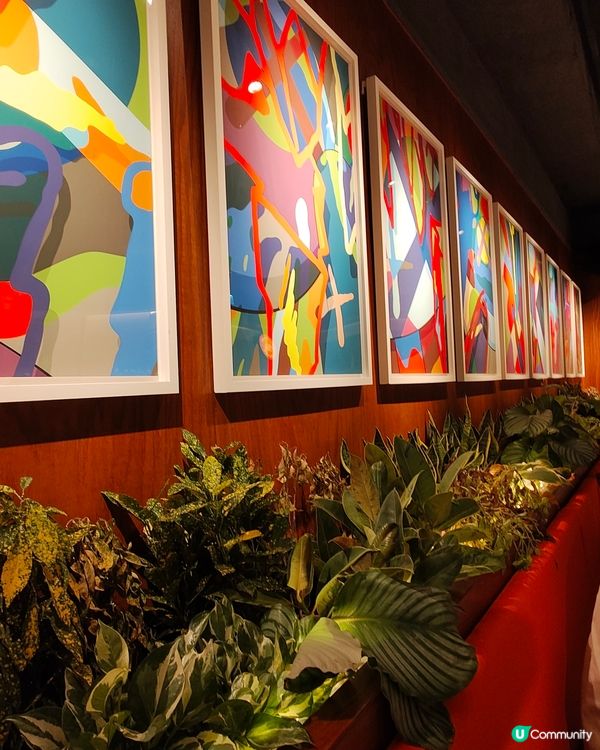 🐘Elephant Grounds🧡