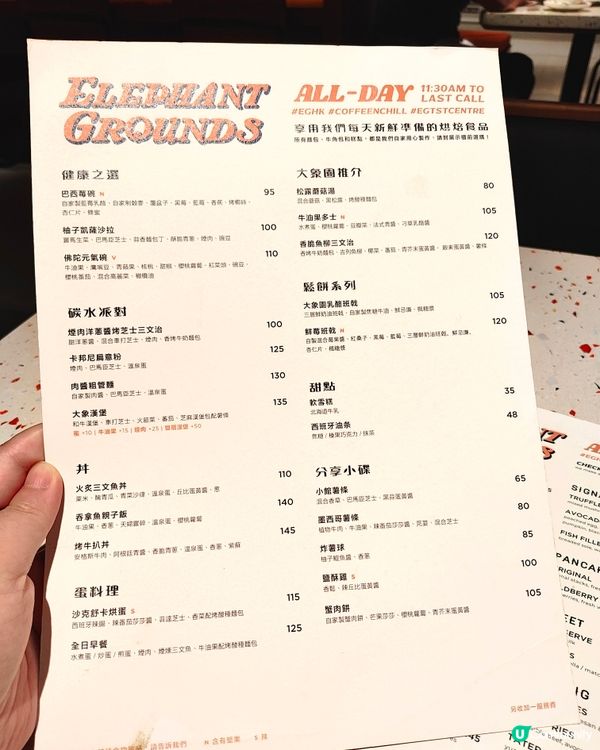 🐘Elephant Grounds🧡