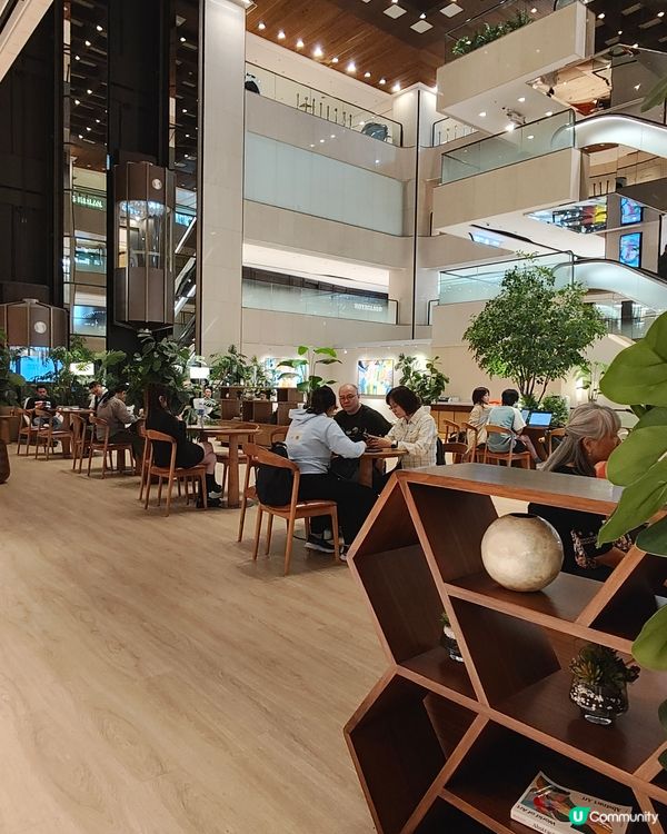 🐘Elephant Grounds🧡