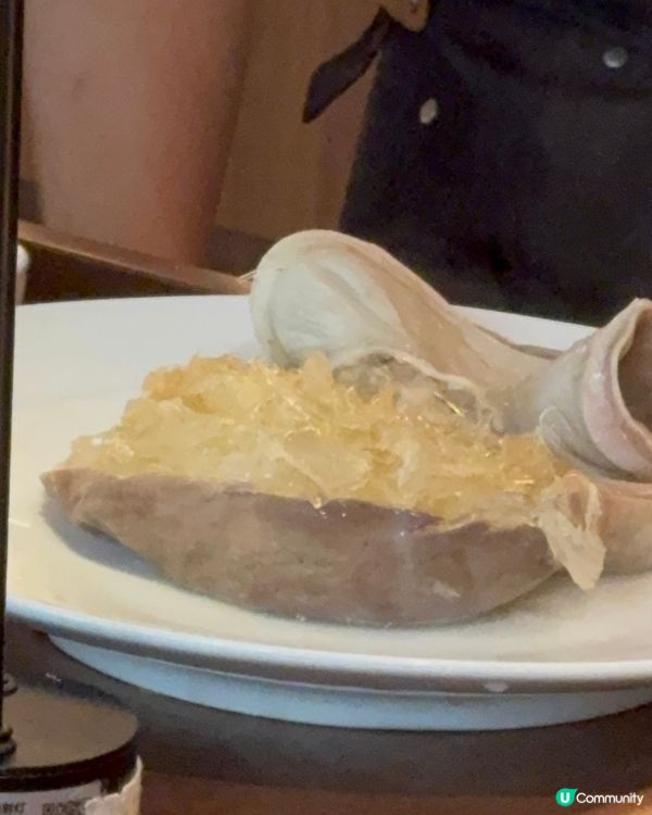 順德公豬肚雞包翅，伏味濃？🤔