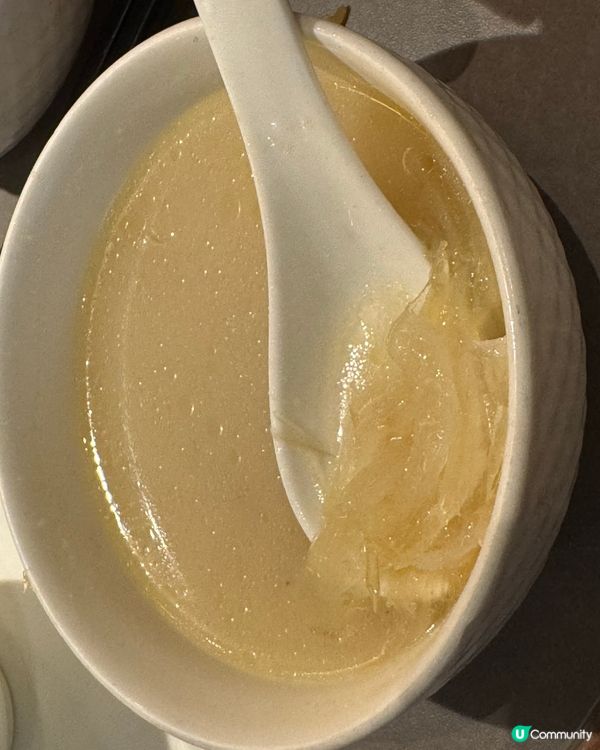 順德公豬肚雞包翅，伏味濃？🤔