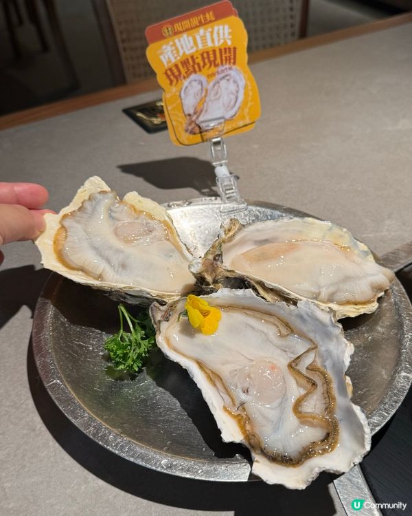 順德公豬肚雞包翅，伏味濃？🤔