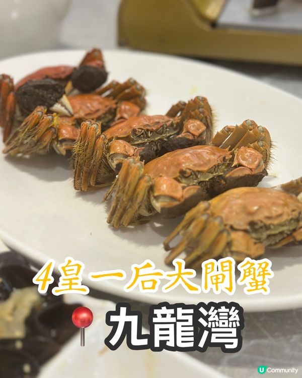 秋風起！🦀大閘蟹套餐$438！爆膏呀！🤤