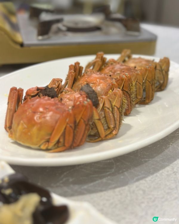 秋風起！🦀大閘蟹套餐$438！爆膏呀！🤤