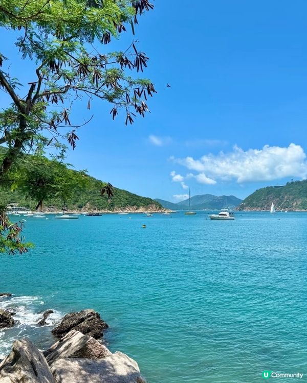 港島海岸線🌊！新手都行得嘅靚景路線🚶‍♀️！ 