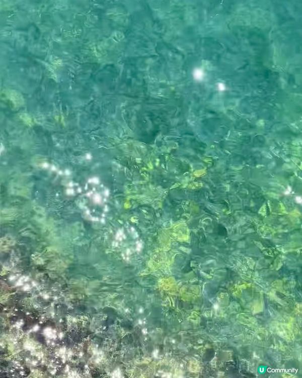 港島海岸線🌊！新手都行得嘅靚景路線🚶‍♀️！ 