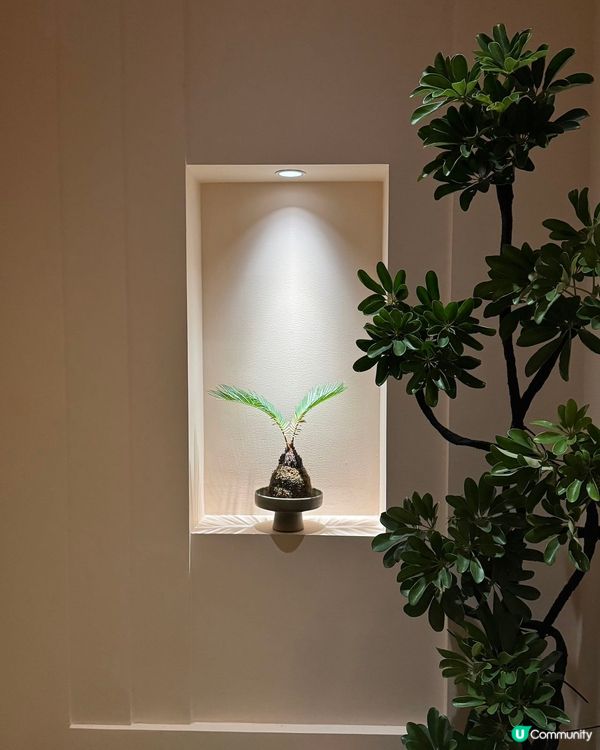 週末北上💆‍♀️深圳悅沐，正呀！✨