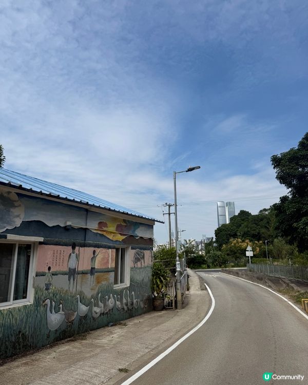 上水踩到落馬洲！🚴‍♀️ 豆花、壁畫任你影📸！