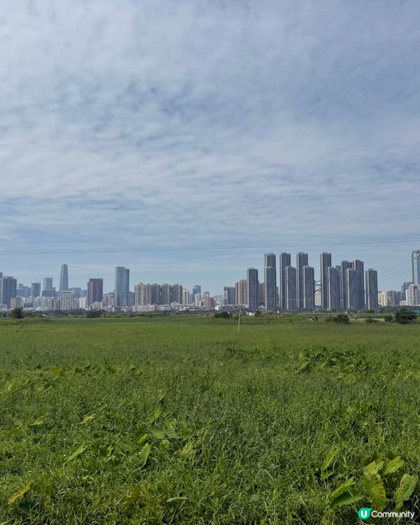 上水踩到落馬洲！🚴‍♀️ 豆花、壁畫任你影📸！