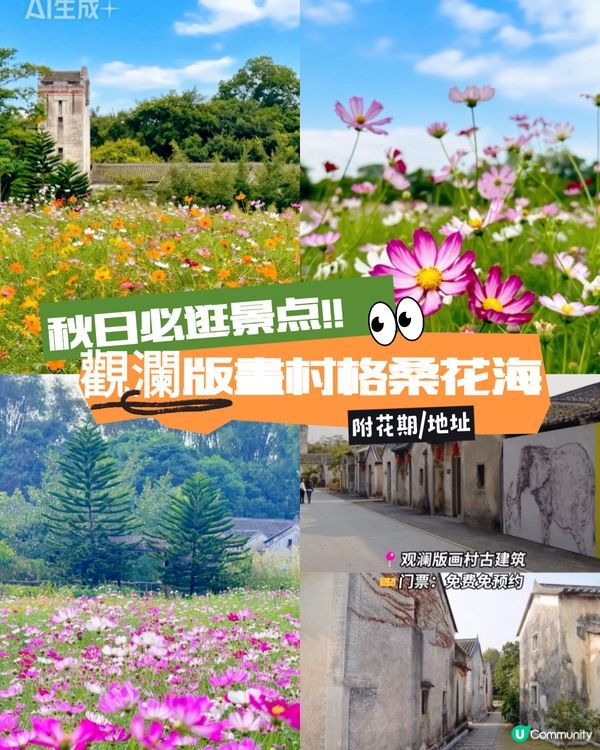 深圳觀瀾震撼花海！格桑花爆開🌸📸 免費古村/藝術館參觀