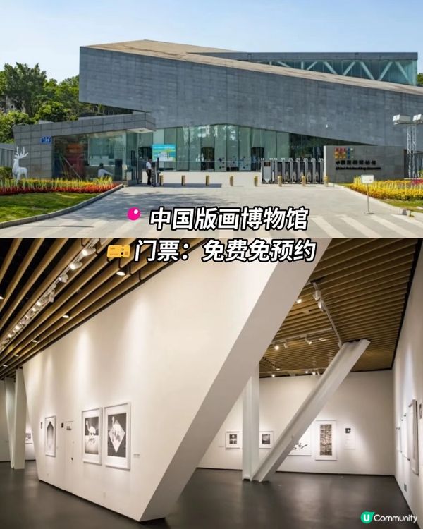 深圳觀瀾震撼花海！格桑花爆開🌸📸 免費古村/藝術館參觀