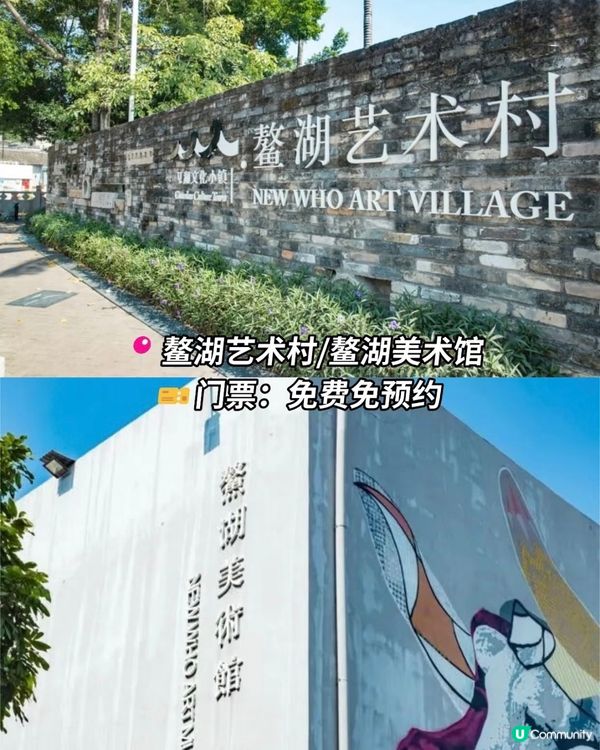 深圳觀瀾震撼花海！格桑花爆開🌸📸 免費古村/藝術館參觀