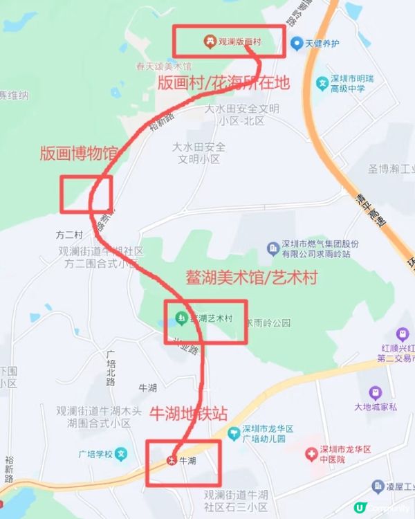 深圳觀瀾震撼花海！格桑花爆開🌸📸 免費古村/藝術館參觀