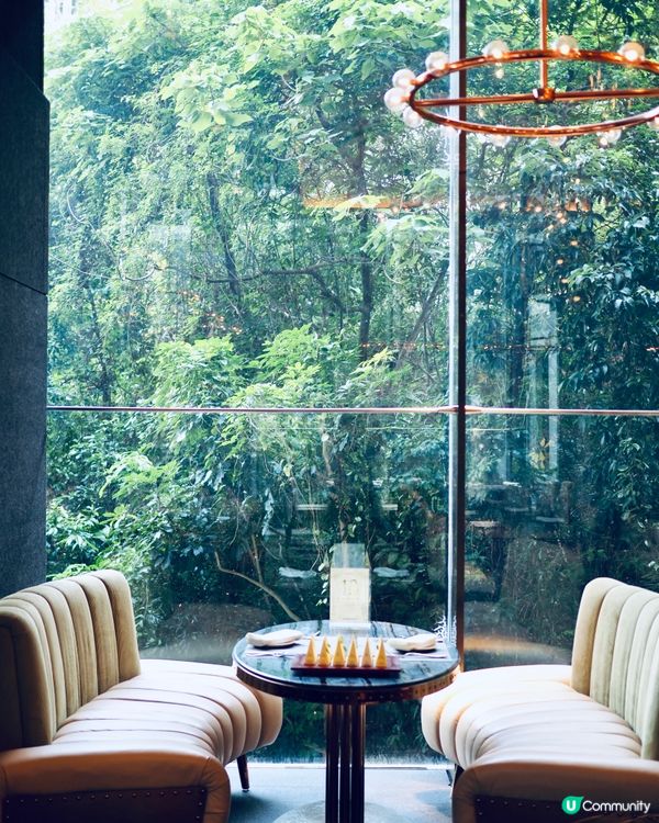 𓂃.𓈒金鐘𓎏ෆ.ᐟ鬧市中的世外桃源 𓈒𓂃.