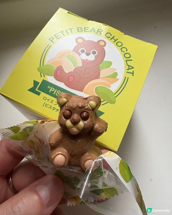 北海道限定「開心果熊仔朱古力🍫」可愛到飛起🐻
