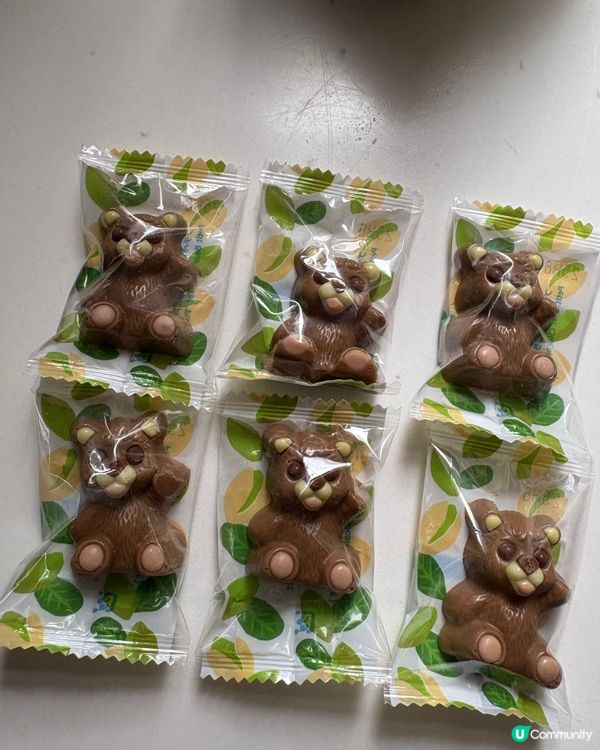 北海道限定「開心果熊仔朱古力🍫」可愛到飛起🐻