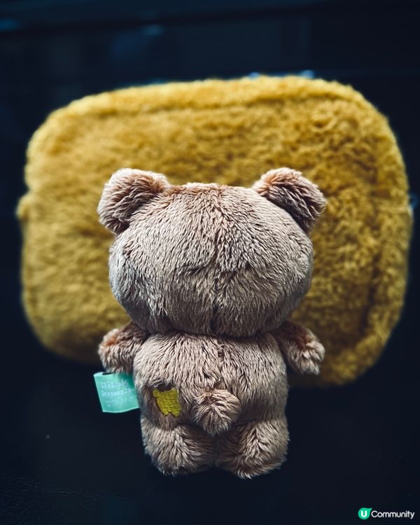 樂天入手鬆弛熊包包🐻勁可愛！20% off快搶！🛍️