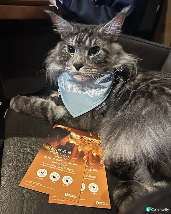 貓貓睇戲初體驗！電影《我會好好的》首映禮🎬