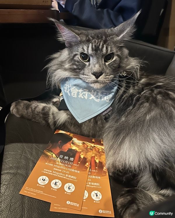 貓貓睇戲初體驗！電影《我會好好的》首映禮🎬