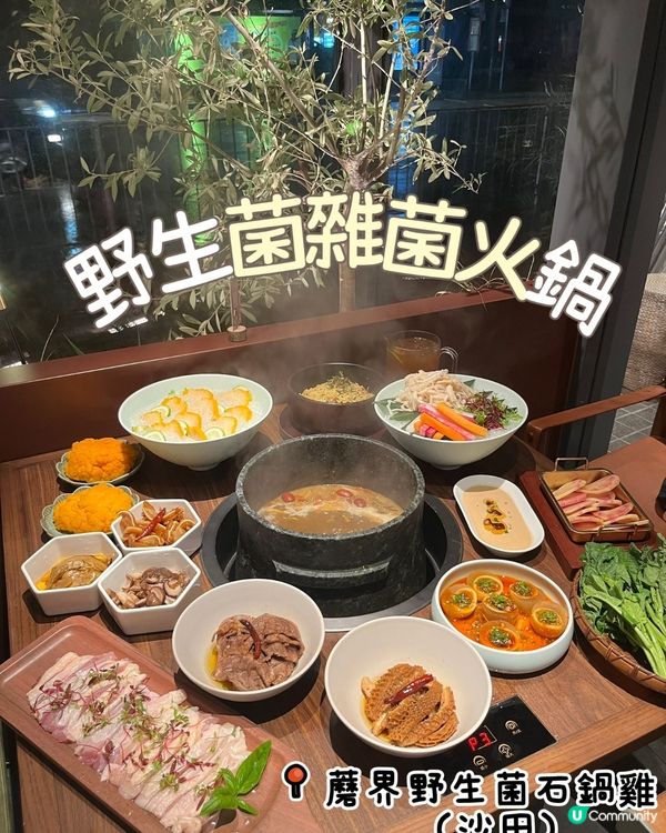 蘑界石鍋雞🍲！養生打邊爐😋！