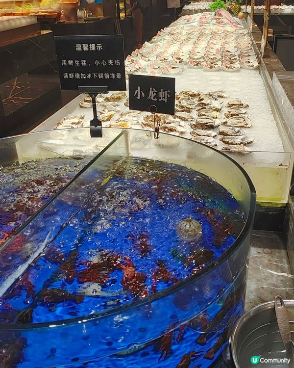 🦐🐟深圳現撈海鮮放題🦀🦪