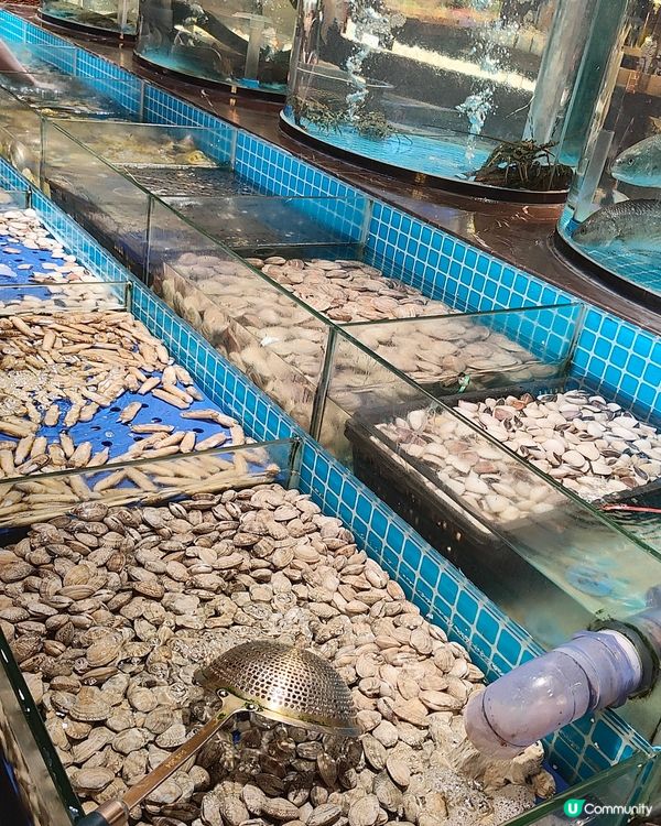 🦐🐟深圳現撈海鮮放題🦀🦪