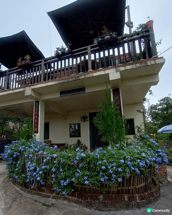 香港碩果僅存的曬鹽場🧂