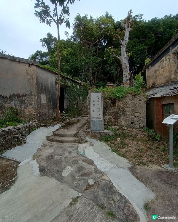 香港碩果僅存的曬鹽場🧂