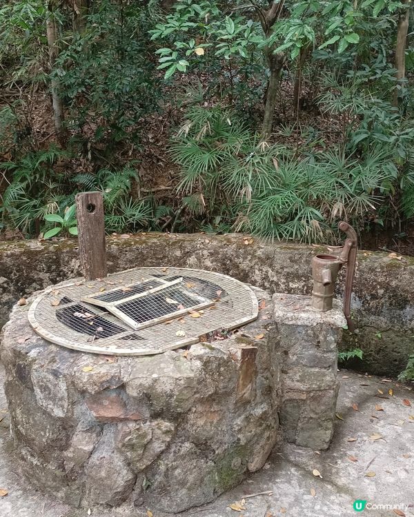 香港碩果僅存的曬鹽場🧂