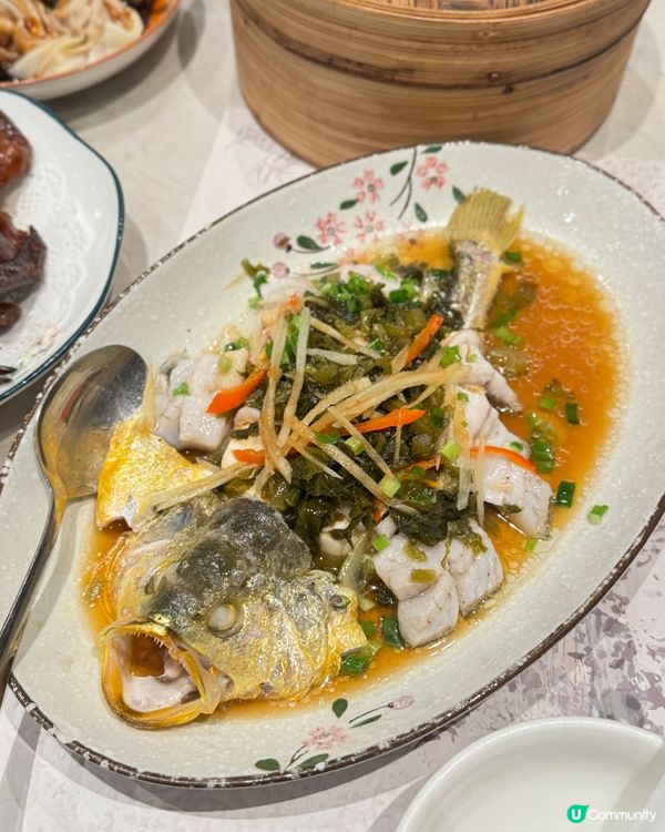 北角上海菜🤤！晚市優惠超抵食加1蚊！😋