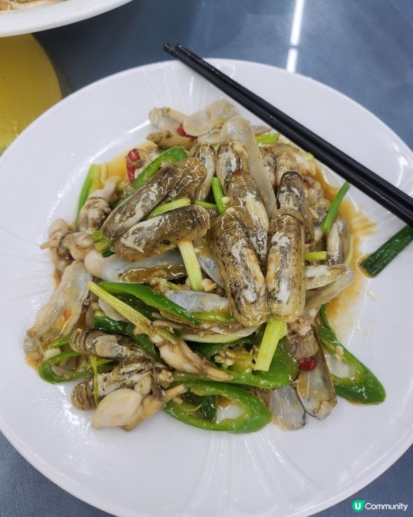 北上觅食一