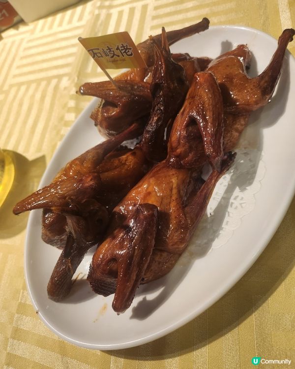 北上觅食一