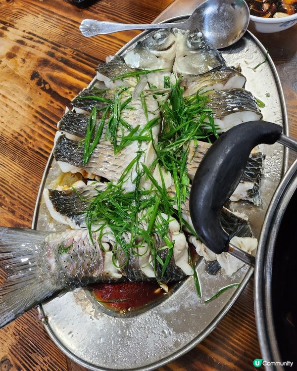 北上觅食一