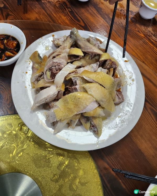 北上觅食一