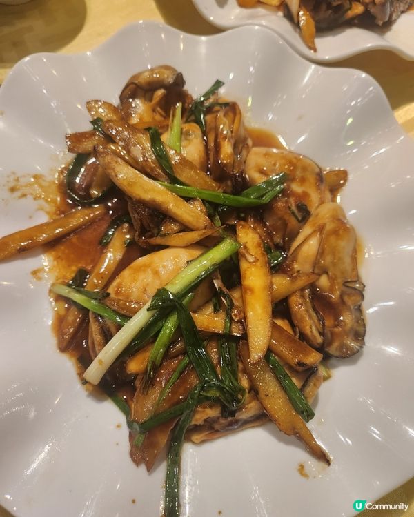 北上觅食一