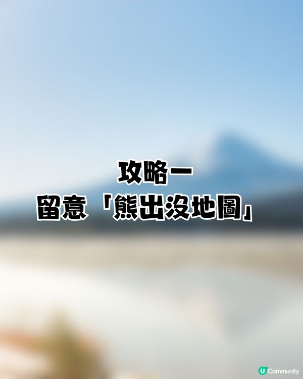 🚨 日本熊害危機爆發：死亡人數創新高！即睇3大自保攻略🐻教你即時追查熊蹤／空膠樽驅熊