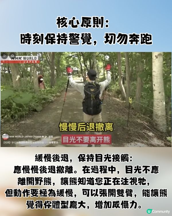 🚨 日本熊害危機爆發：死亡人數創新高！即睇3大自保攻略🐻教你即時追查熊蹤／空膠樽驅熊